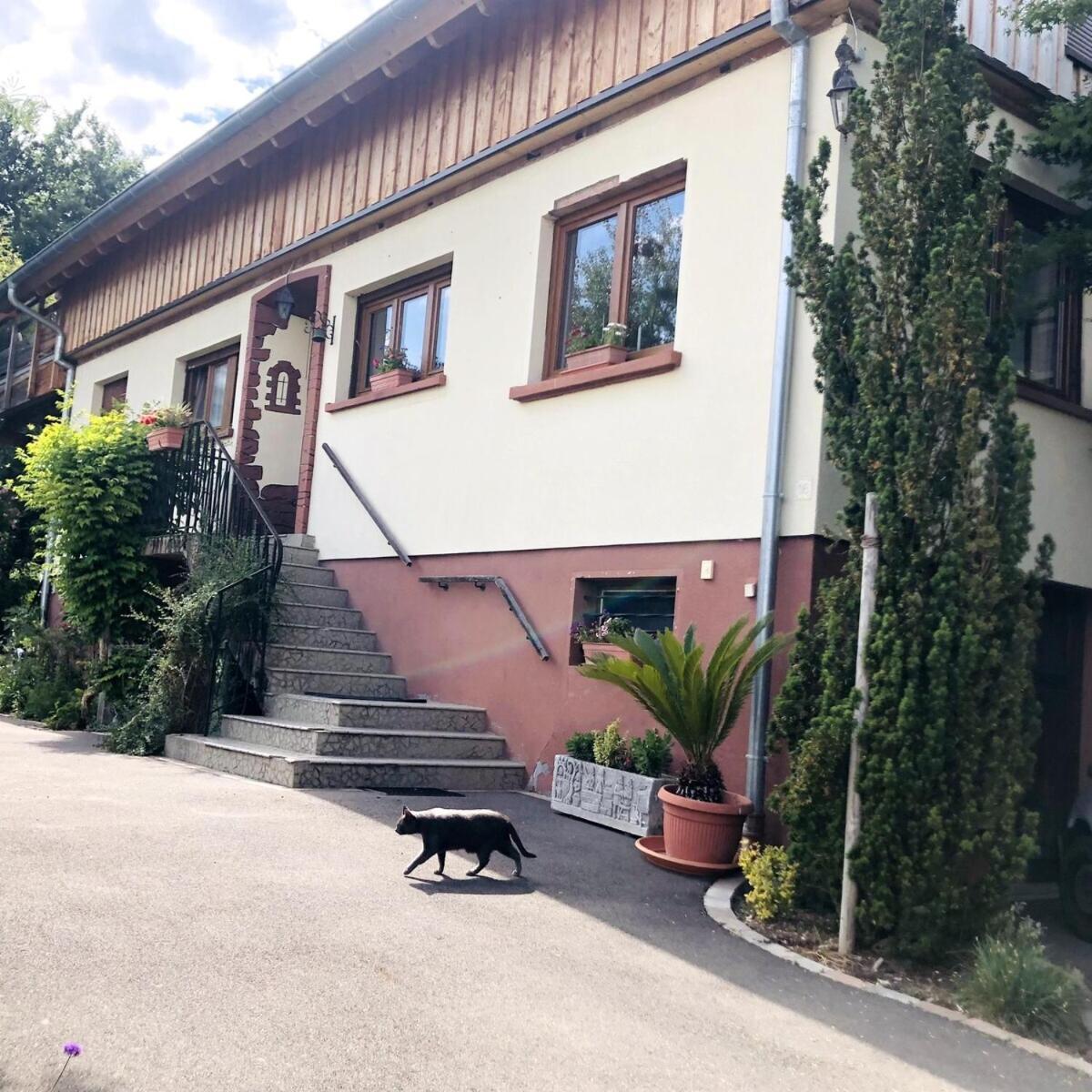 Gite Du Ried Bischwiller Εξωτερικό φωτογραφία